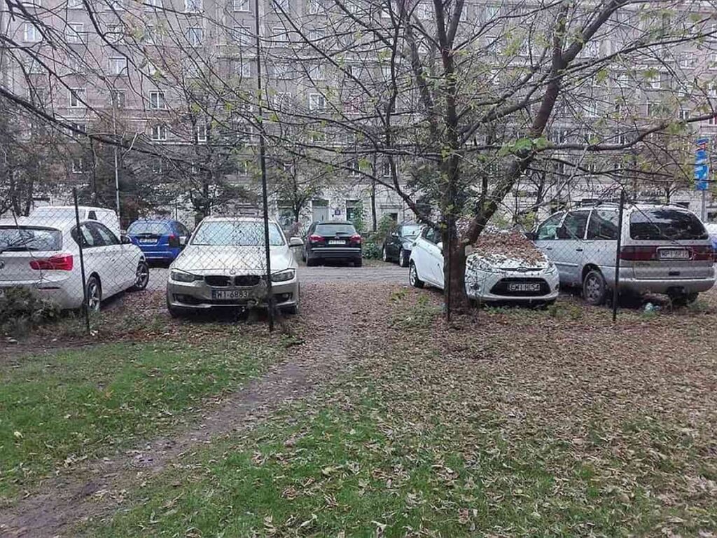 Co wpływa na wysokość ubezpieczenia - dziki parking