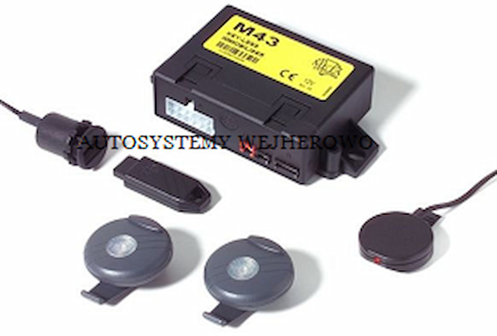 Immobilizer Meta System