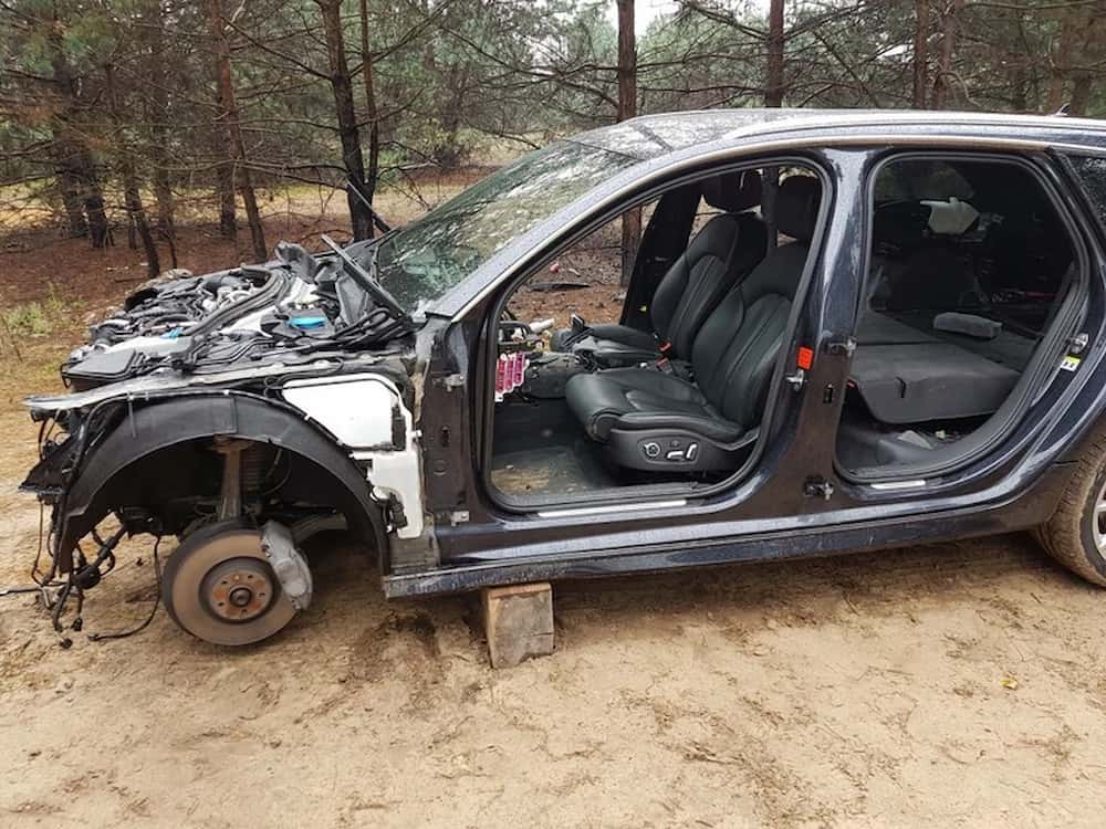 Kradzieże samochodów 2023 - dziupla